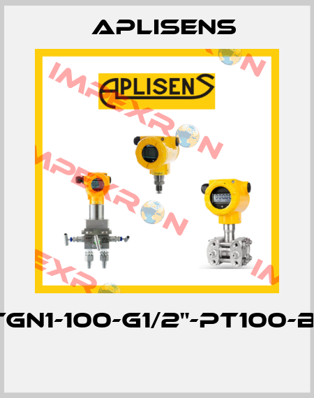 CTGN1-100-G1/2"-Pt100-B-2  Aplisens