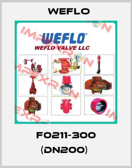 F0211-300 (DN200)  Weflo