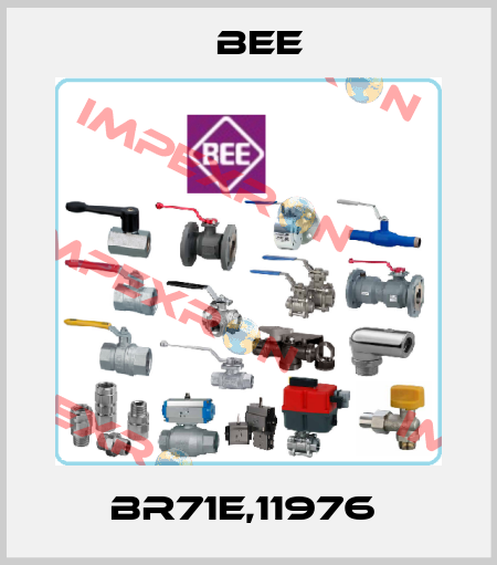 BR71E,11976  BEE