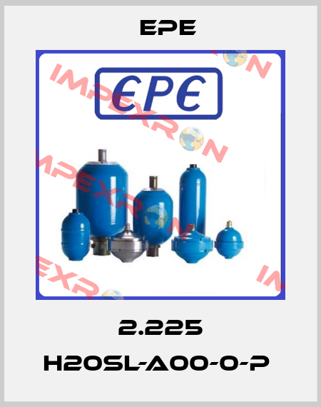 2.225 H20SL-A00-0-P  Epe