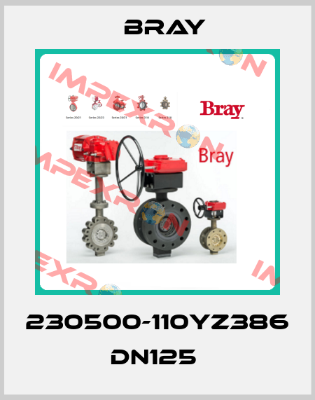 230500-110YZ386 DN125  Bray