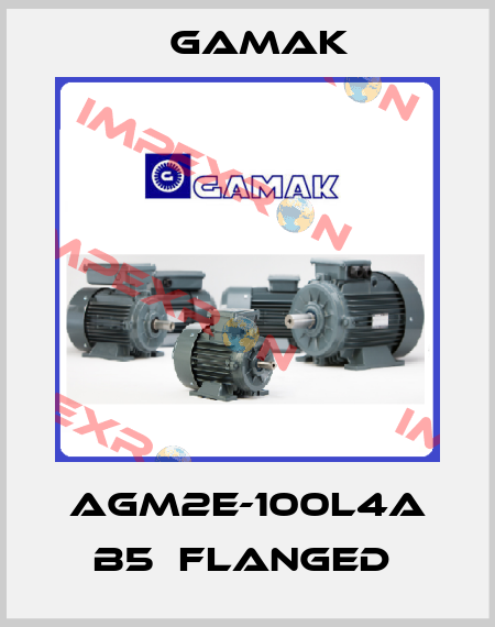 AGM2E-100L4A B5  Flanged  Gamak