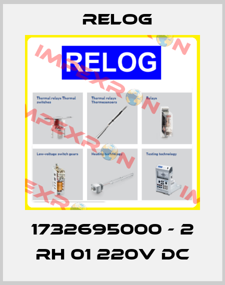 1732695000 - 2 RH 01 220V DC Relog
