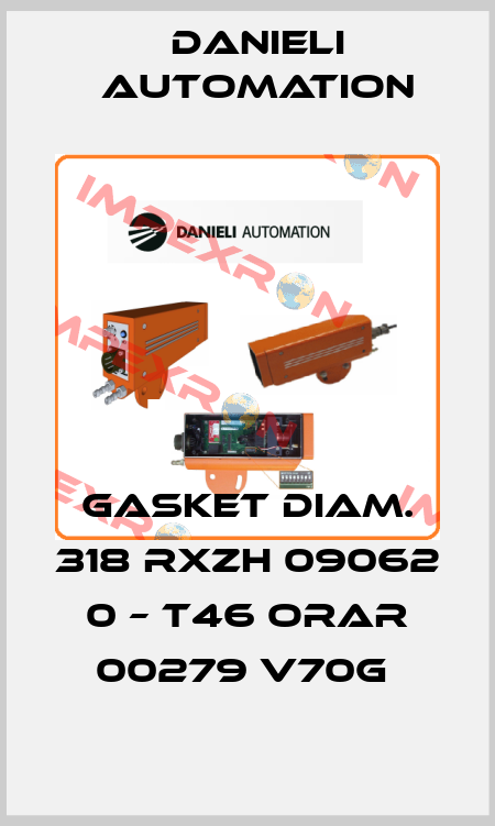 Gasket Diam. 318 RXZH 09062 0 – T46 ORAR 00279 V70G  DANIELI AUTOMATION