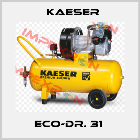 ECO-Dr. 31  Kaeser