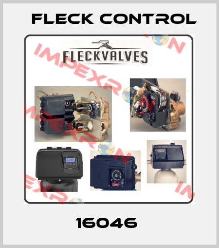 16046  Fleck Control