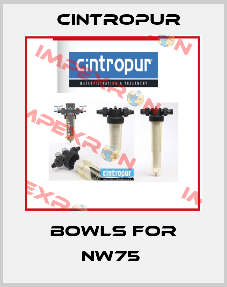 bowls for NW75  Cintropur