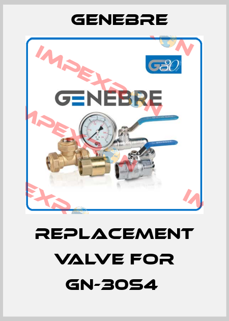  replacement valve for GN-30S4  Genebre