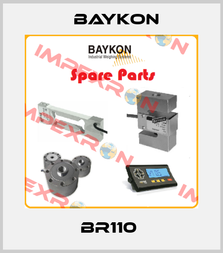 BR110  Baykon
