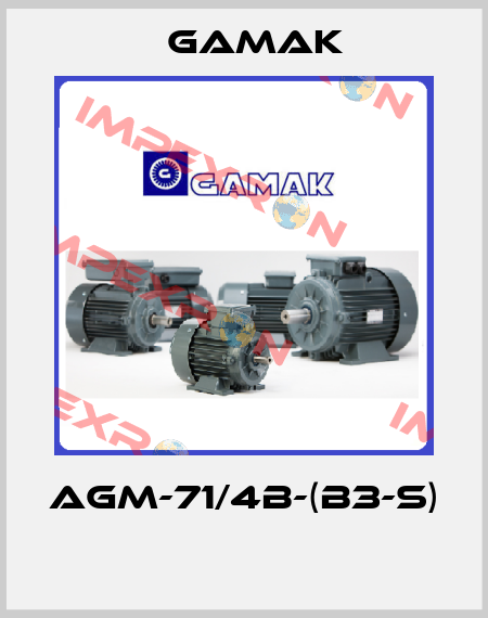 AGM-71/4b-(B3-S)  Gamak