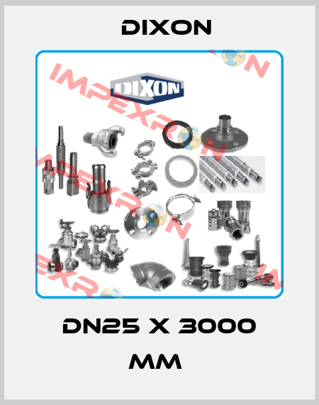 DN25 x 3000 mm  Dixon