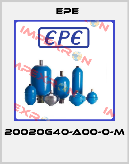 20020G40-A00-0-M  Epe