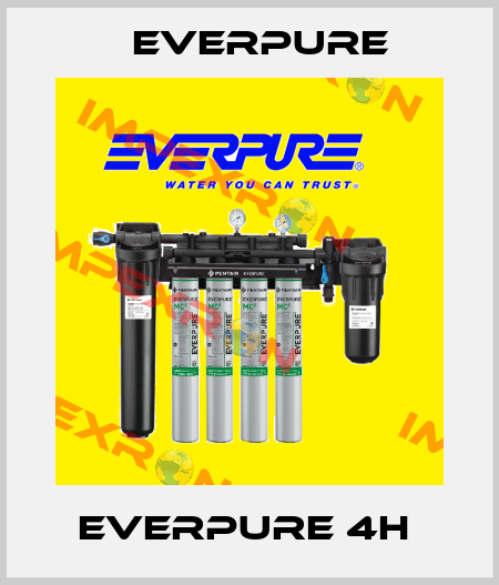 EVERPURE 4H  Everpure