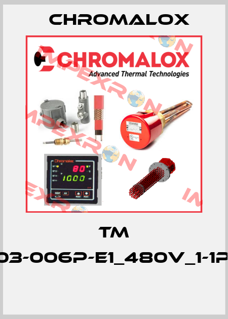 TM -03-006P-E1_480V_1-1P_  Chromalox