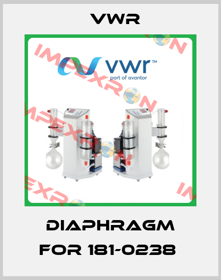 diaphragm for 181-0238  VWR