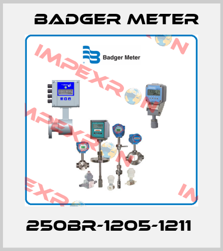 250BR-1205-1211  Badger Meter