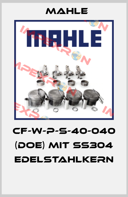 CF-W-P-S-40-040 (DOE) mit SS304 Edelstahlkern  MAHLE
