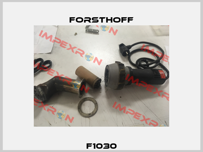  F1030  Forsthoff
