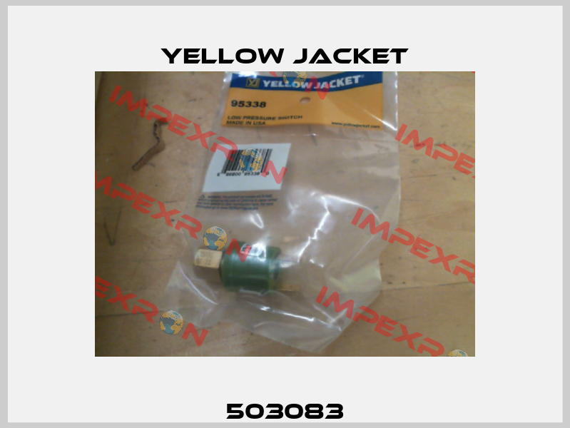 503083 Yellow Jacket