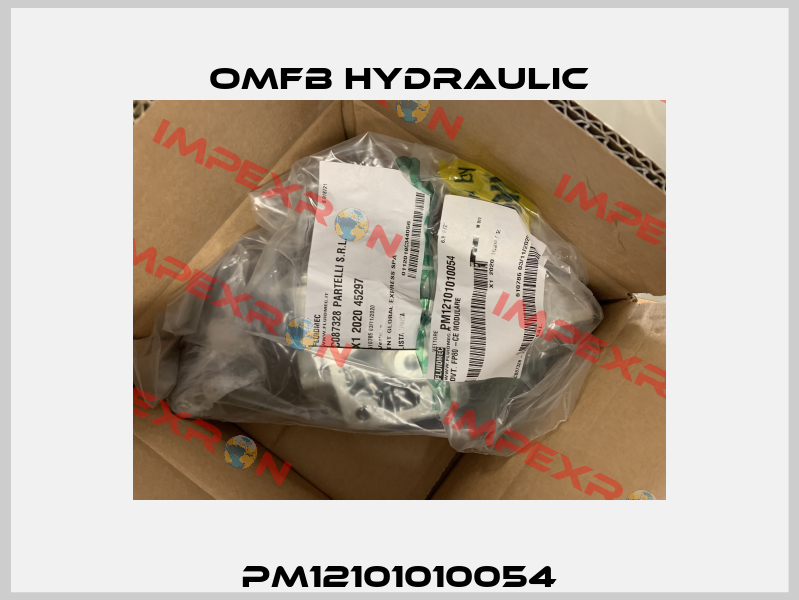 PM12101010054 OMFB Hydraulic
