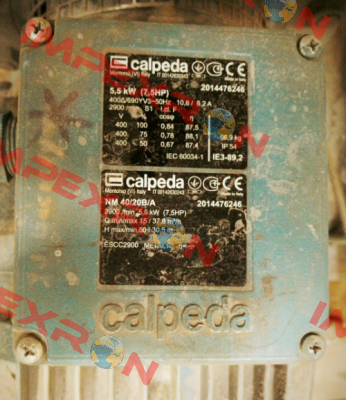 16006080000 Calpeda