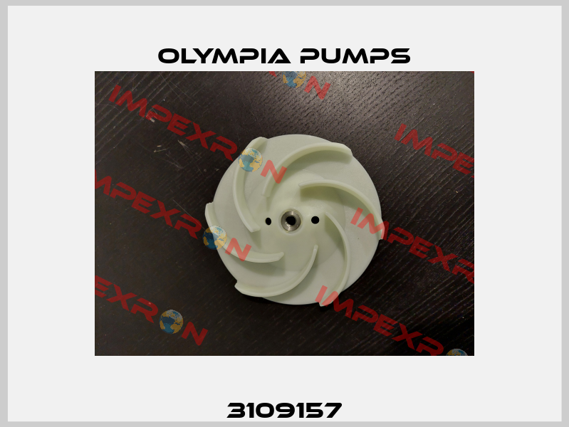 3109157 OLYMPIA PUMPS