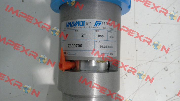 Z300700 Valvaut